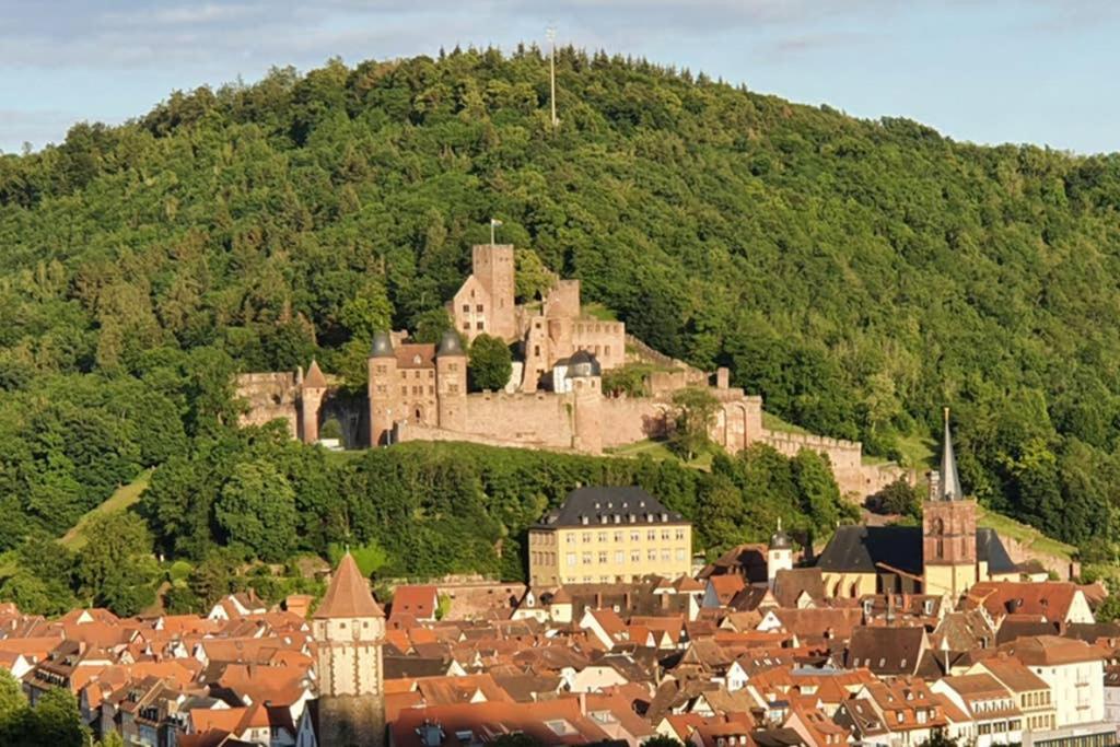 Ferienwohnung 'Burgblick' Wertheim Extérieur photo